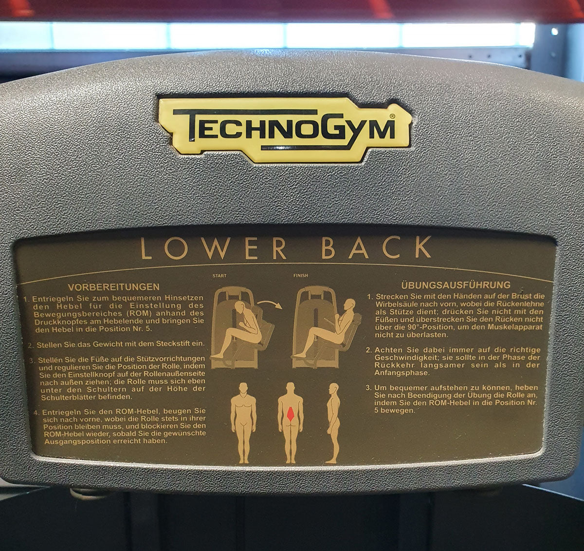 TechnoGym Back Extension, Rückenstreckermaschine, Hyperextension, Selection Line - Neues Modell mit Plastikverkleidung, Polster Braun, gebraucht - überholter Zustand