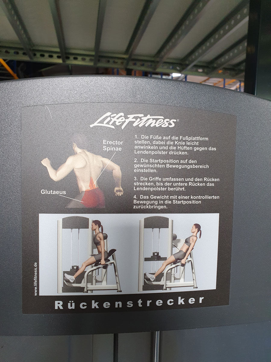 Life Fitness Back Extension, Rückenstreckermaschine, Hyperextension, Signature Series, Rahmenfarbe Silber, Polsterfarbe Schwarz, gebraucht - überholter Zustand