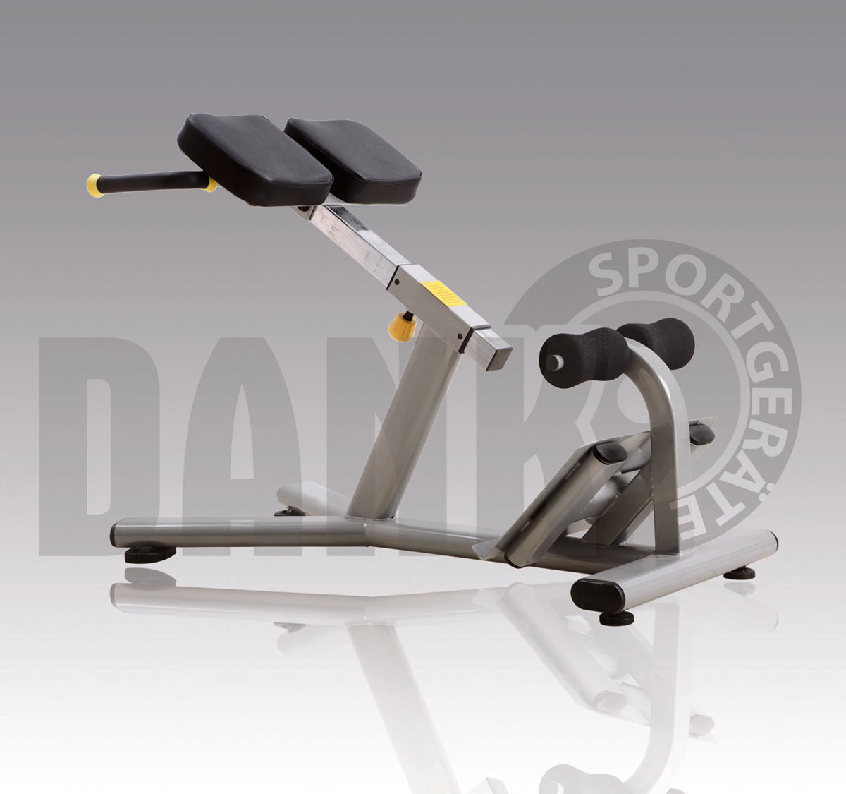 Aehnlich Star Trac, TechnoGym oder Gym80 - Danksport S-Line Gerätepark - 30 Kraftgeräte & Zubehör, Neue Geräte, Farbe Silber, Polster Braun