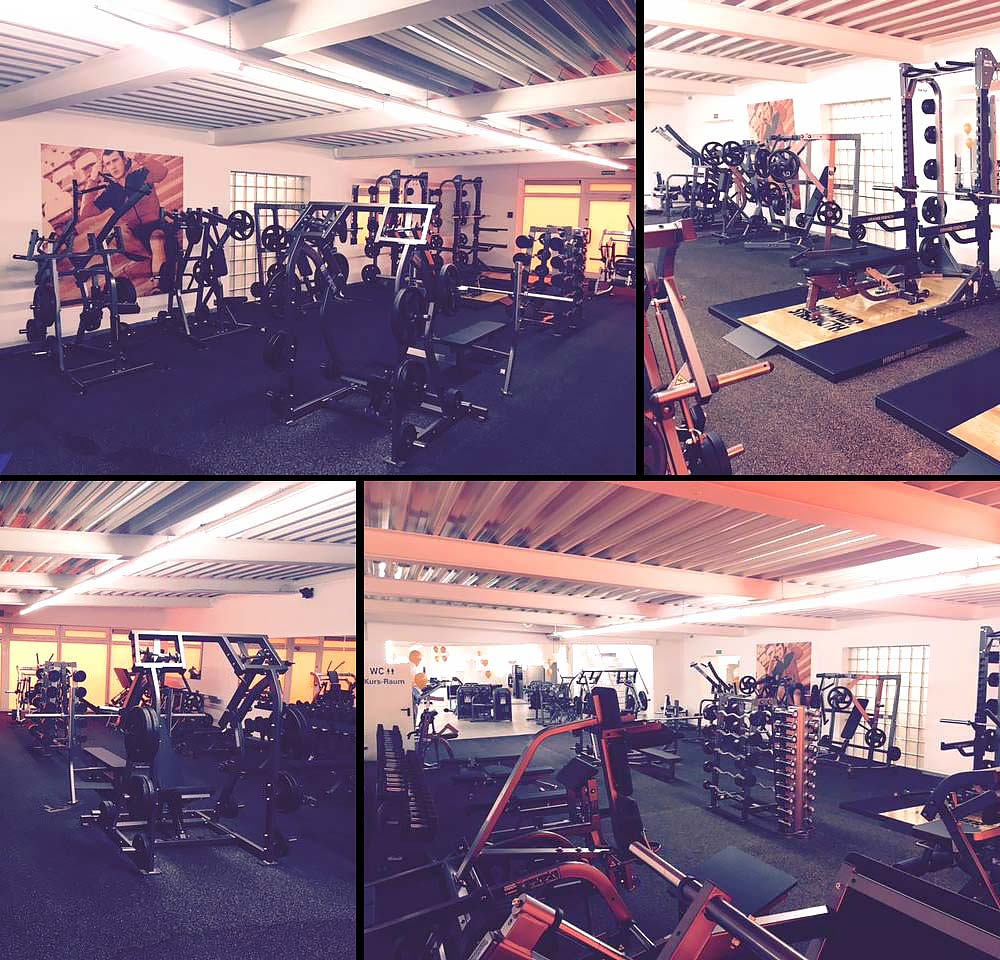 Life Fitness and Hammer Strength - complete gym - 65 pieces of fitness equipment - strength training equipment, cardio equipment, circuits, plate-loaded equipment, benches, etc. - used - TOP condition