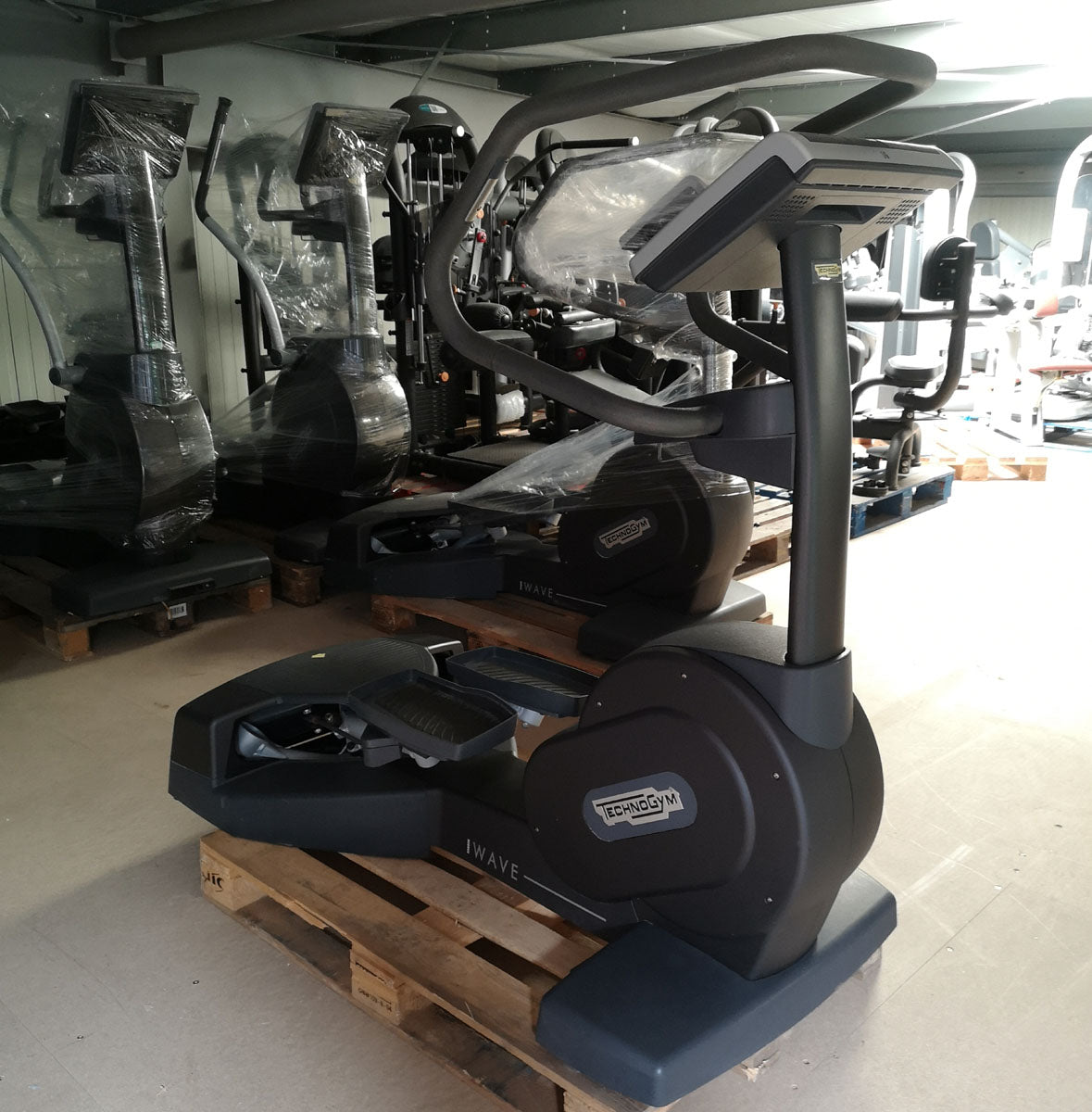 Technogym Wave Excite Line Stepper / Inliner / Ski / Ellipsentrainer, Touch Display, gebraucht - überholter Zustand