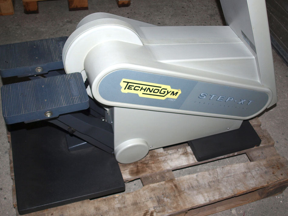 TechnoGym XT Line Stepper - Step XT, gebraucht - geprüfter Zustand, funktionsfähig
