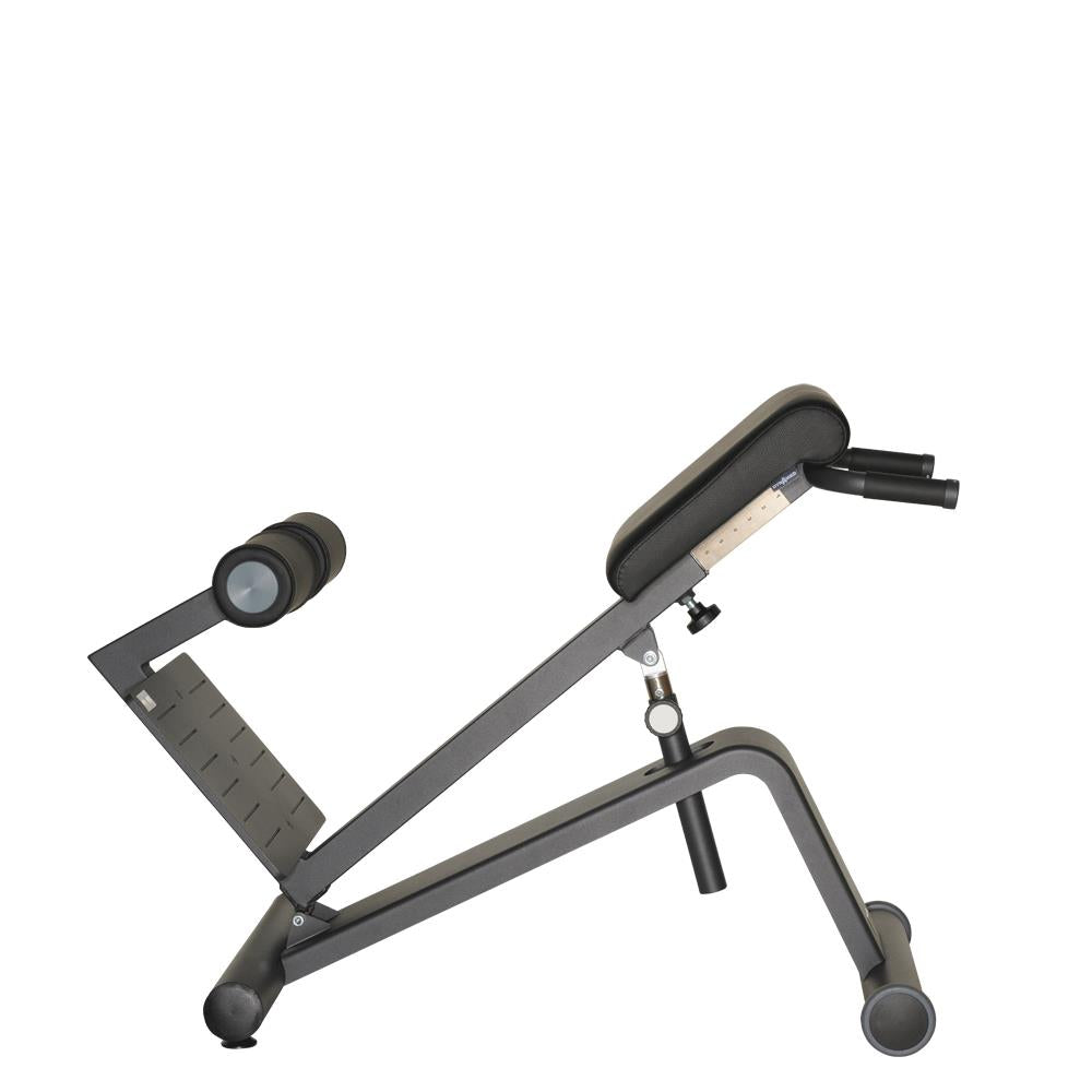 Dynamed Lateral/Lumbar Trainer, Stolzenberg - NEW