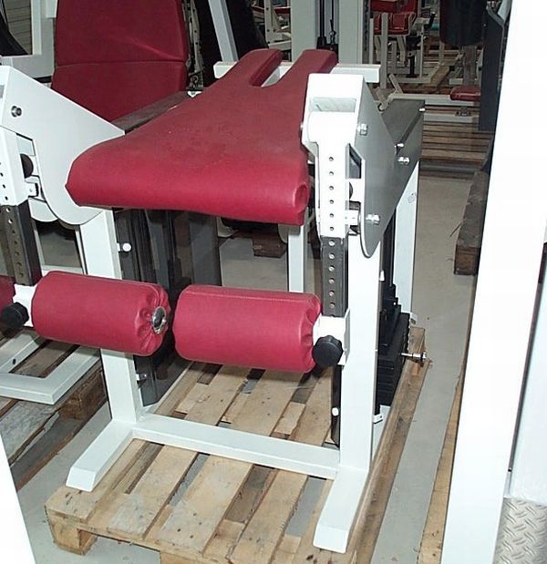 Dynamix Gluteus Radial / Butt Machine, White, used