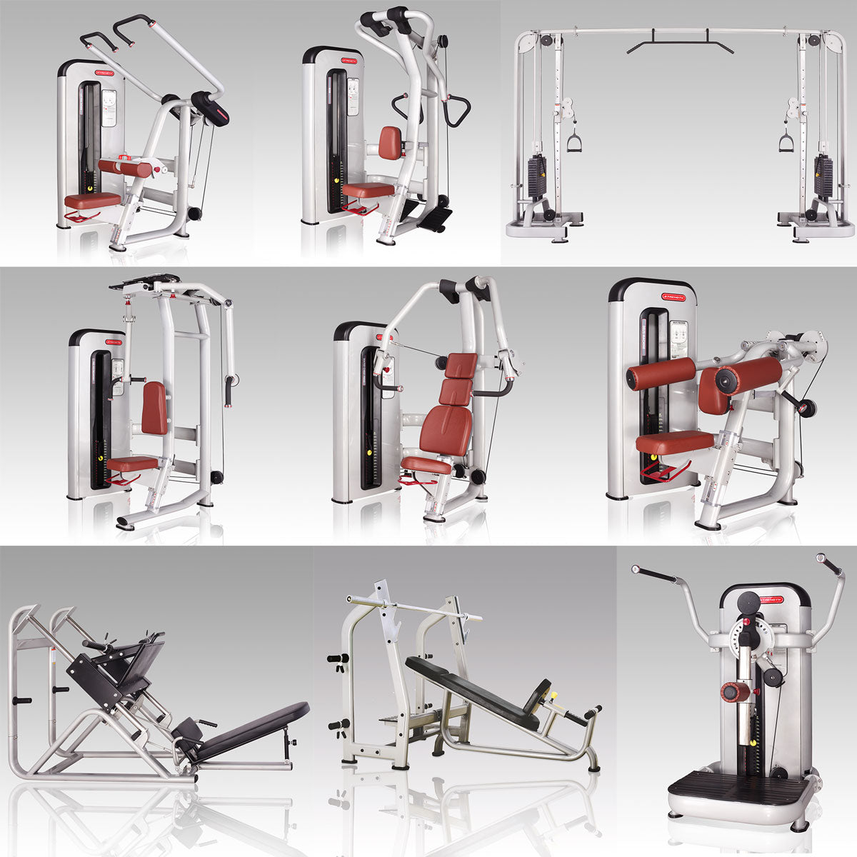 Danksport S-Line strength training equipment, equipment park with approximately 22 fitness machines and accessories, color silver, upholstery brown - New equipment / exhibition equipment
