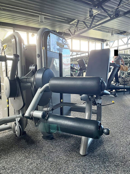 TechnoGym 13 Kraftgeräte im Set, Element Line Serie, gebraucht - überholter Zustand
