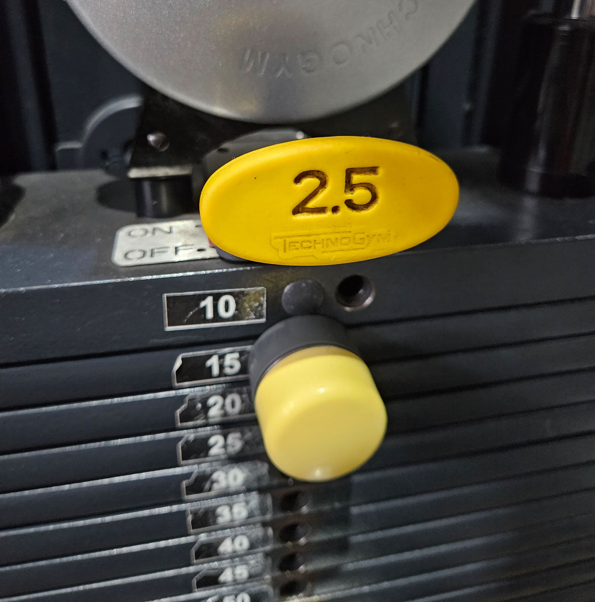 TechnoGym 18 Kraftgeräte im Set, Selection Line, Strength Machines with Stack Weight, Polster Rot, gebraucht - überholter Zustand