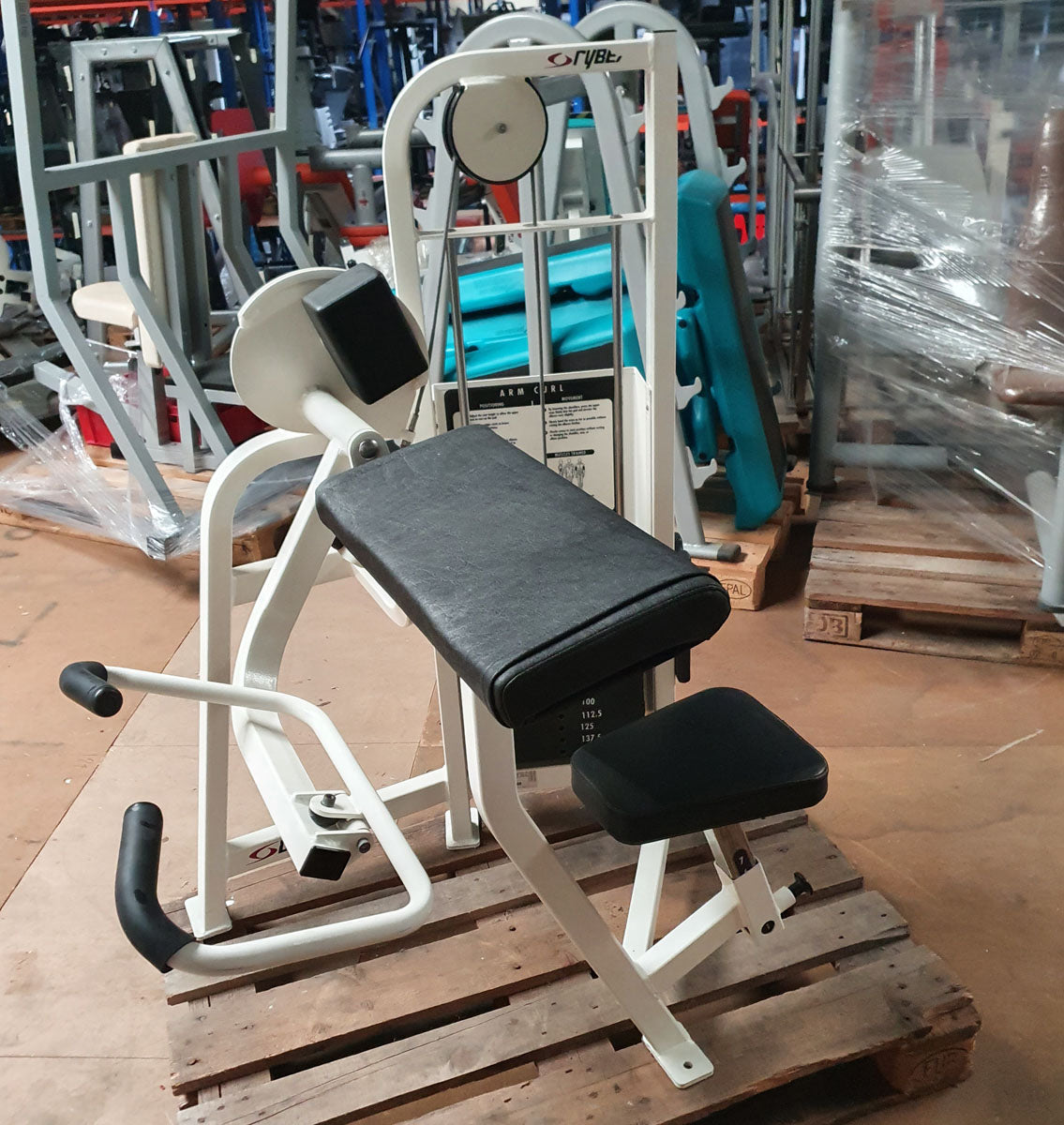 Cybex Bizepsmaschine, Arm Curl, Rahmen Weiß, Polster Schwarz, gebraucht - überholter Zustand