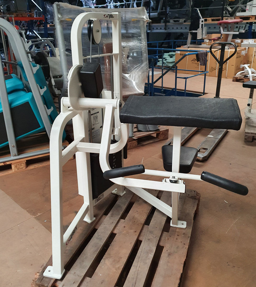 Cybex Bizepsmaschine, Arm Curl, Rahmen Weiß, Polster Schwarz, gebraucht - überholter Zustand