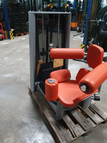 Gym80 Sygnum Einzelgeräte z.B. Kabelzug, Beinstrecker, Latzug, Brustpresse, Gluteus, Seilzug, Drückerbank, Bänke verstellbar Basic, Rückenstrecker etc, gebraucht
