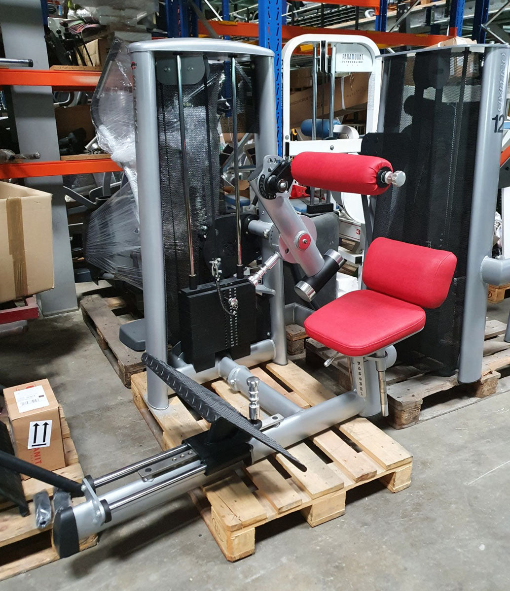 Gym80 Sygnum Einzelgeräte z.B. Kabelzug, Beinstrecker, Latzug, Brustpresse, Gluteus, Seilzug, Drückerbank, Bänke verstellbar Basic, Rückenstrecker etc, gebraucht