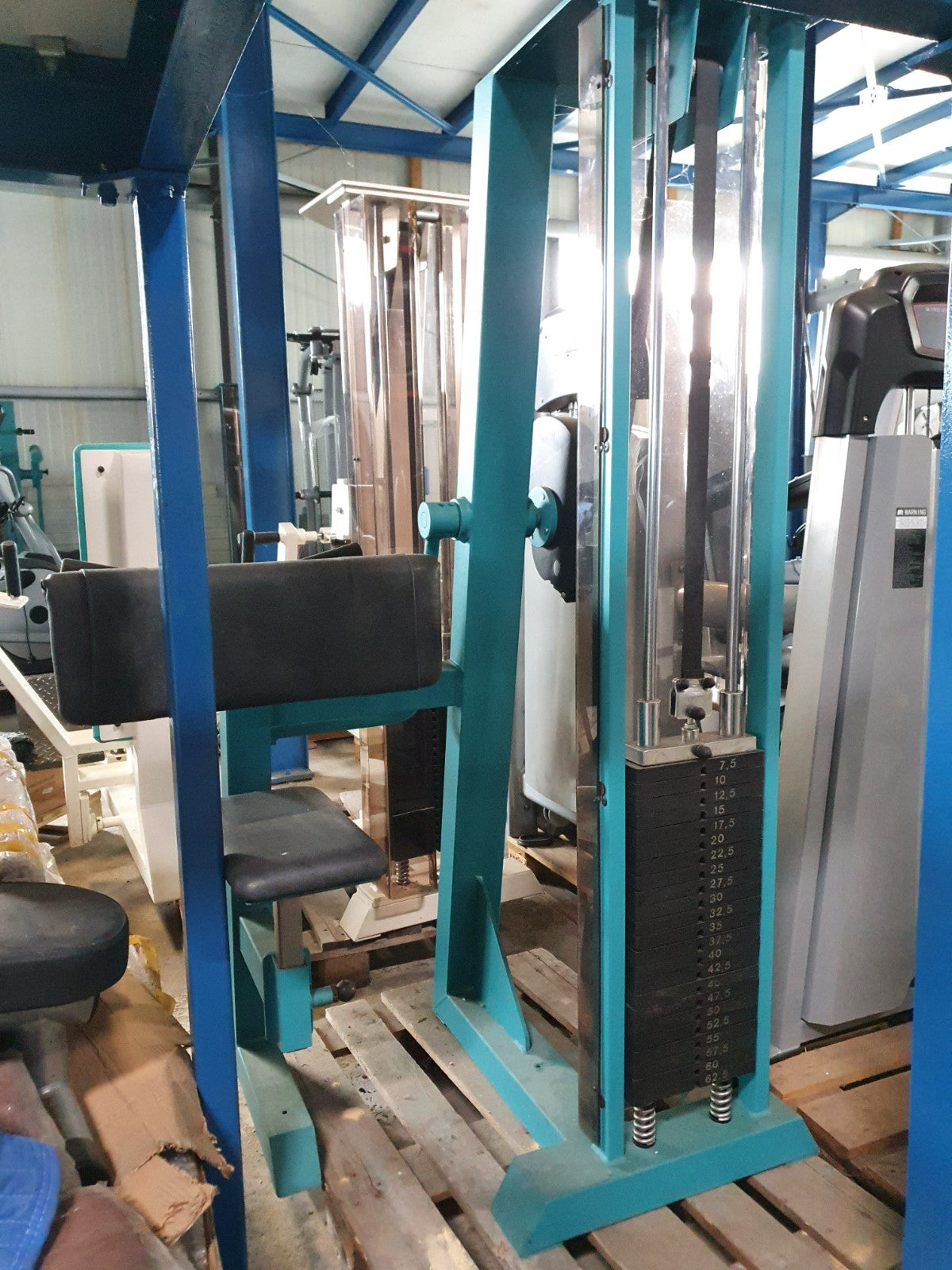 Gym80 Bizepsmaschine, Biceps Curl, Edition Line, Rahmenfarbe Türkis, gebraucht