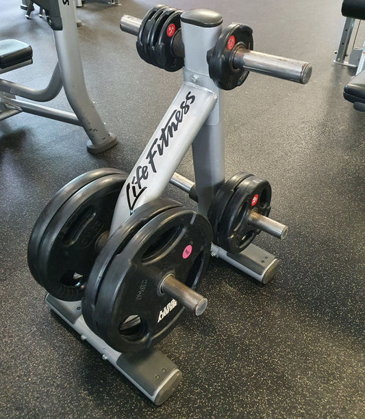 Life Fitness Scheibenständer, 6 Zapfen, Silber, Signature Serie, gebraucht