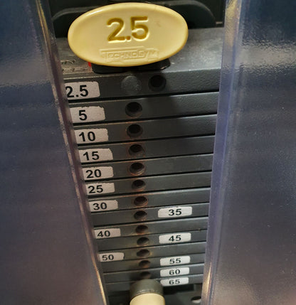 TechnoGym Back Extension, Rückenstreckermaschine, Hyperextension, Selection Line - Neues Modell mit Plastikverkleidung, Polster Braun, gebraucht - überholter Zustand