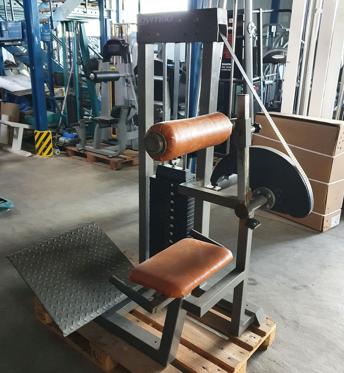 Gym80 Rückenstreckermaschine, Hyperextension, Back Extension, Old school, 120kg Gewichtsblock, gebraucht