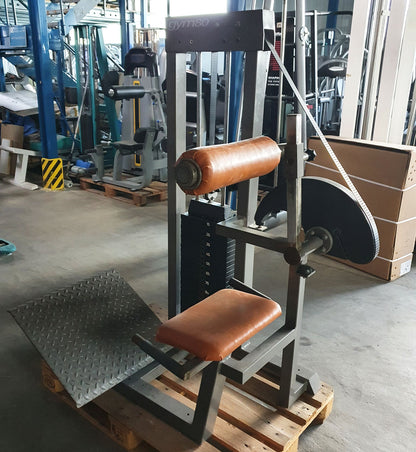 Gym80 Rückenstreckermaschine, Hyperextension, Back Extension, Old school, 120kg Gewichtsblock, gebraucht