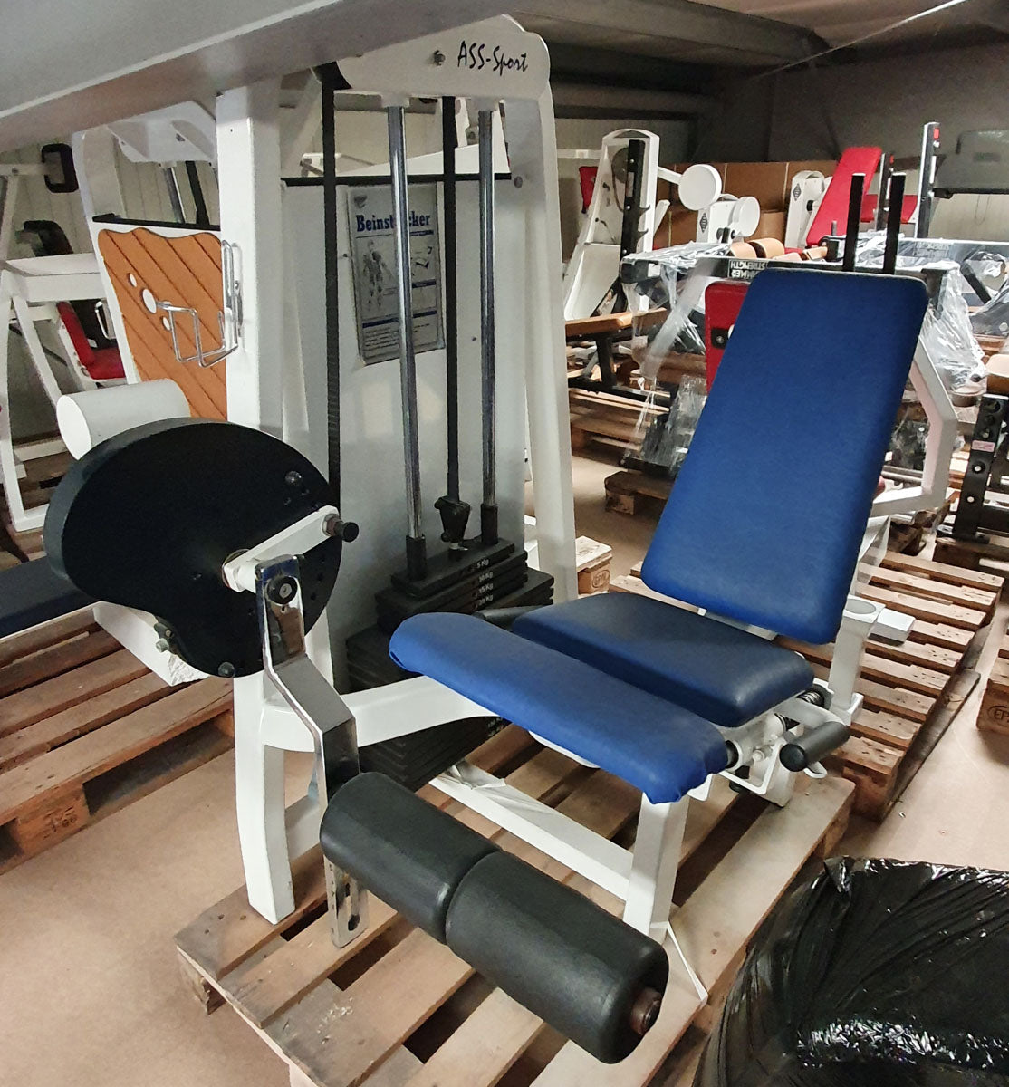 ASS-Sport Beinstrecker, Leg Extension, verstellbar, 140kg Gewichtsblock, Rahmen Weiß, Polster Blau, gebraucht - überholter Zustand