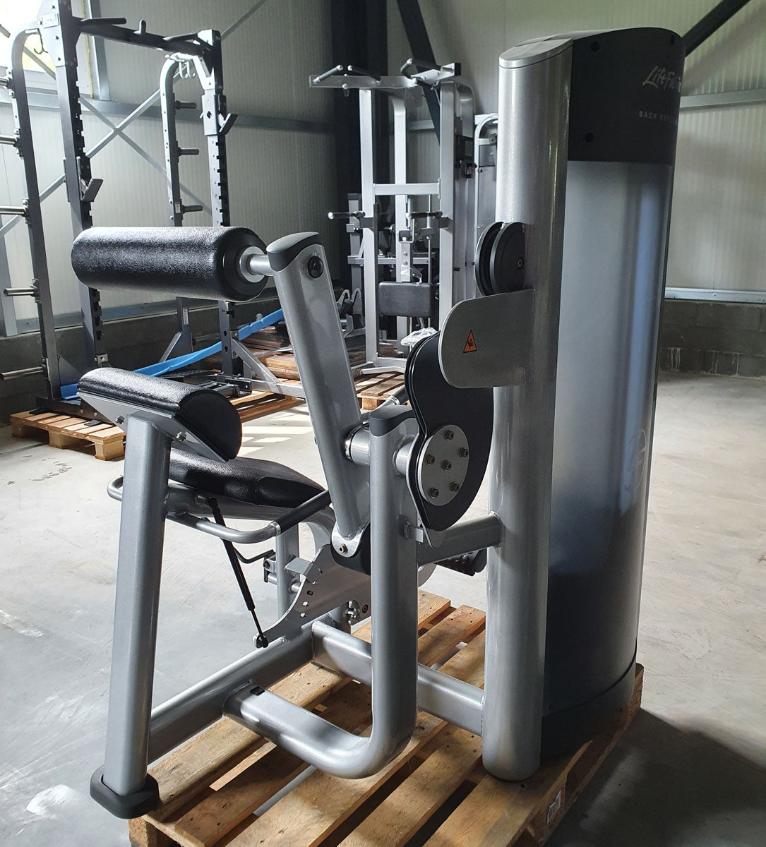 Life Fitness Back Extension, Rückenstreckermaschine, Hyperextension, Signature Series, Rahmenfarbe Silber, Polsterfarbe Schwarz, gebraucht - überholter Zustand