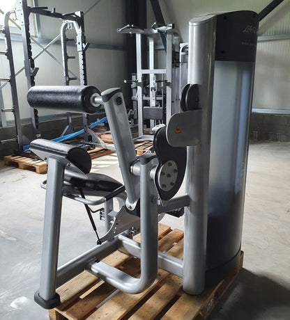 Life Fitness Back Extension, Rückenstreckermaschine, Hyperextension, Signature Series, Rahmenfarbe Silber, Polsterfarbe Schwarz, gebraucht - überholter Zustand