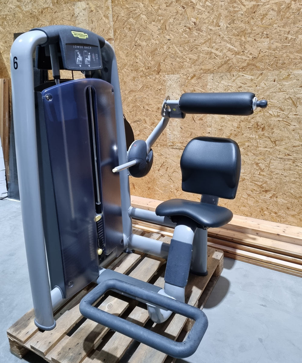 TechnoGym 15 Kraftgeräte im Set, Selection Line, Neue Version mit Plastikverkleidungen, gebraucht - überholter Zustand