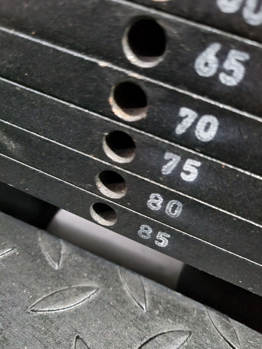 Gym80 Sygnum, Twistermaschine, Rotationsmaschine, Rahmen Silber, gebraucht - überholter Zustand