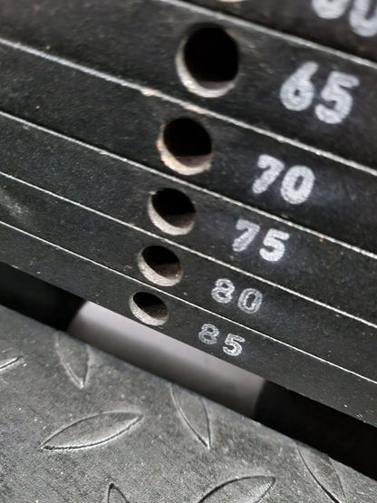 Gym80 Sygnum, Twistermaschine, Rotationsmaschine, Rahmen Silber, gebraucht - überholter Zustand