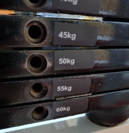 Technogym Seithebe Delts Kraftgerät Schulter, Lateral Raise, Silverline, Rahmenfarbe Weiß, Polsterfarbe Schwarz, gebraucht