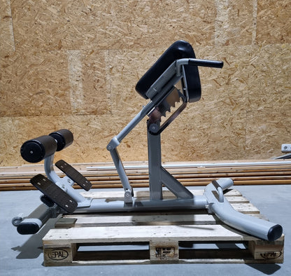 DankSport Adjustable Back Extension Bench - Hyperextension 45° - Back Extension - Silver and Black - NEW