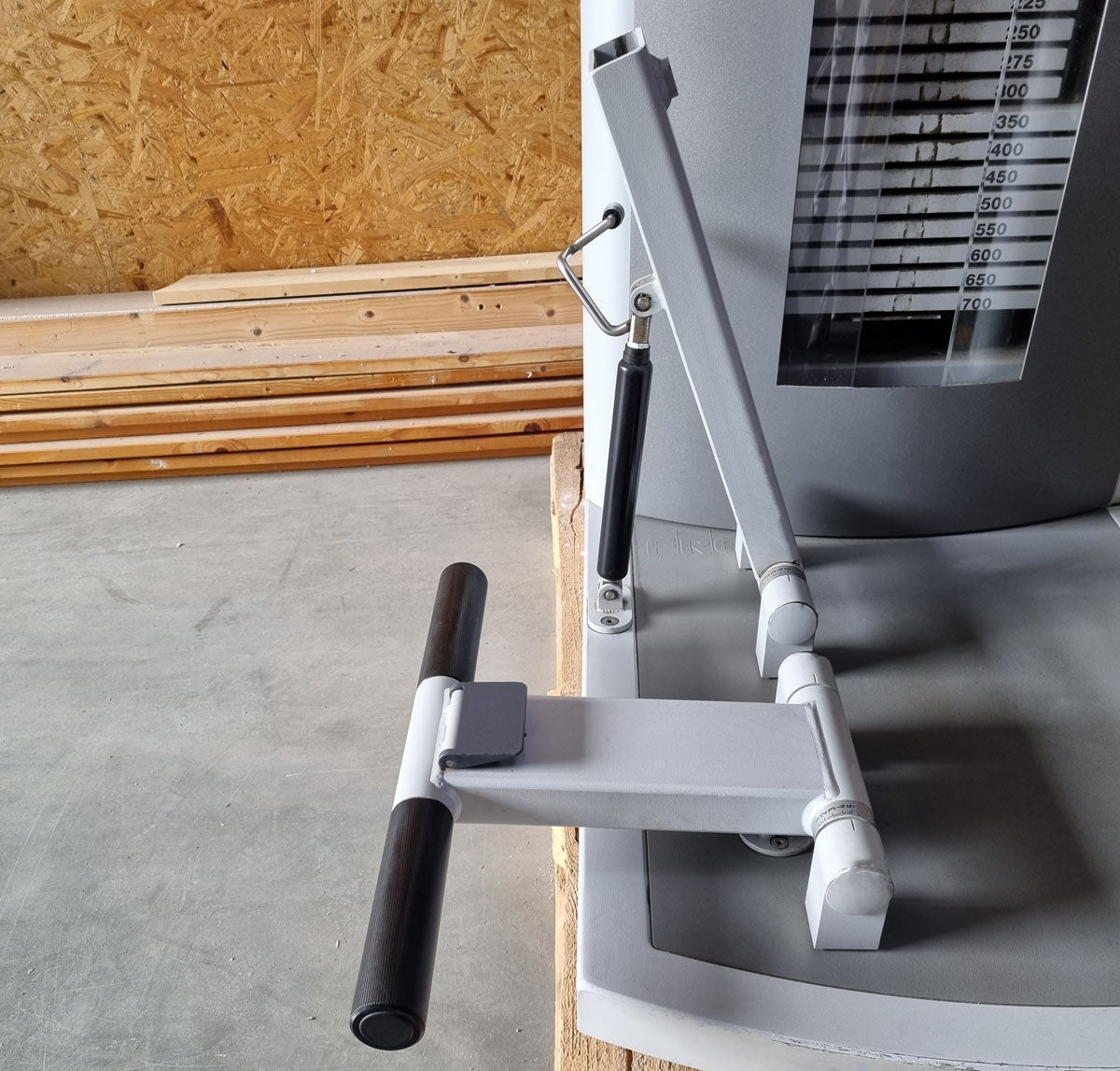 Frei Genius Eco Rückenstreckermaschine, Hyperextension, Rückenmaschine Lower Back, Rahmenfarbe Silber, Polsterfarbe Rot, gebraucht - überholter Zustand