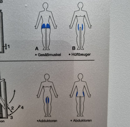 Frei Genius Eco Hüftmaschine, Hüftpendel, Hip-machine, Multi Hip, Kickmaschine, Rahmenfarbe Silber, gebraucht - überholter Zustand