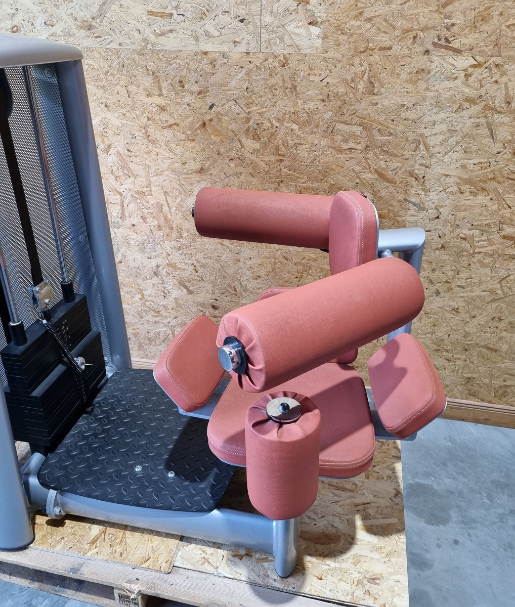 Gym80 Sygnum, Twistermaschine, Rotationsmaschine, Rahmen Silber, gebraucht - überholter Zustand