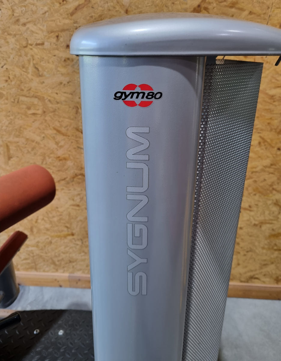Gym80 Sygnum, Twistermaschine, Rotationsmaschine, Rahmen Silber, gebraucht - überholter Zustand