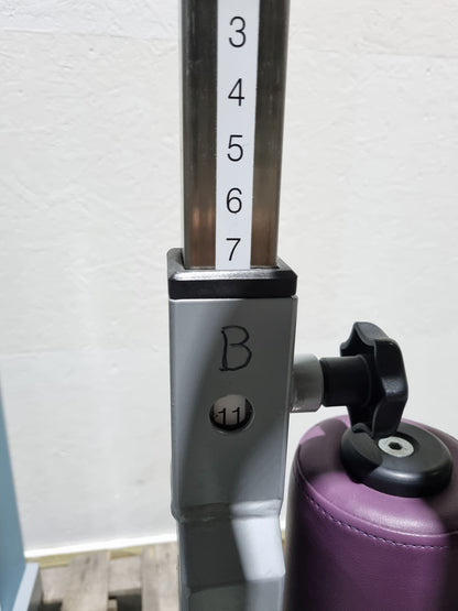 SVG HWS-Trainer, Hals und Nacken Trainingsmaschine, Halswirbelbsäule Kräftigung, Reha Line, Rahmenfarbe Silber, Polsterfarbe Lila, gebrauchter - überholter Zustand