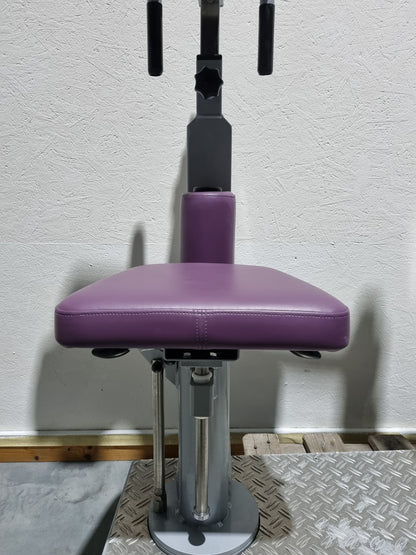 SVG HWS-Trainer, Hals und Nacken Trainingsmaschine, Halswirbelbsäule Kräftigung, Reha Line, Rahmenfarbe Silber, Polsterfarbe Lila, gebrauchter - überholter Zustand