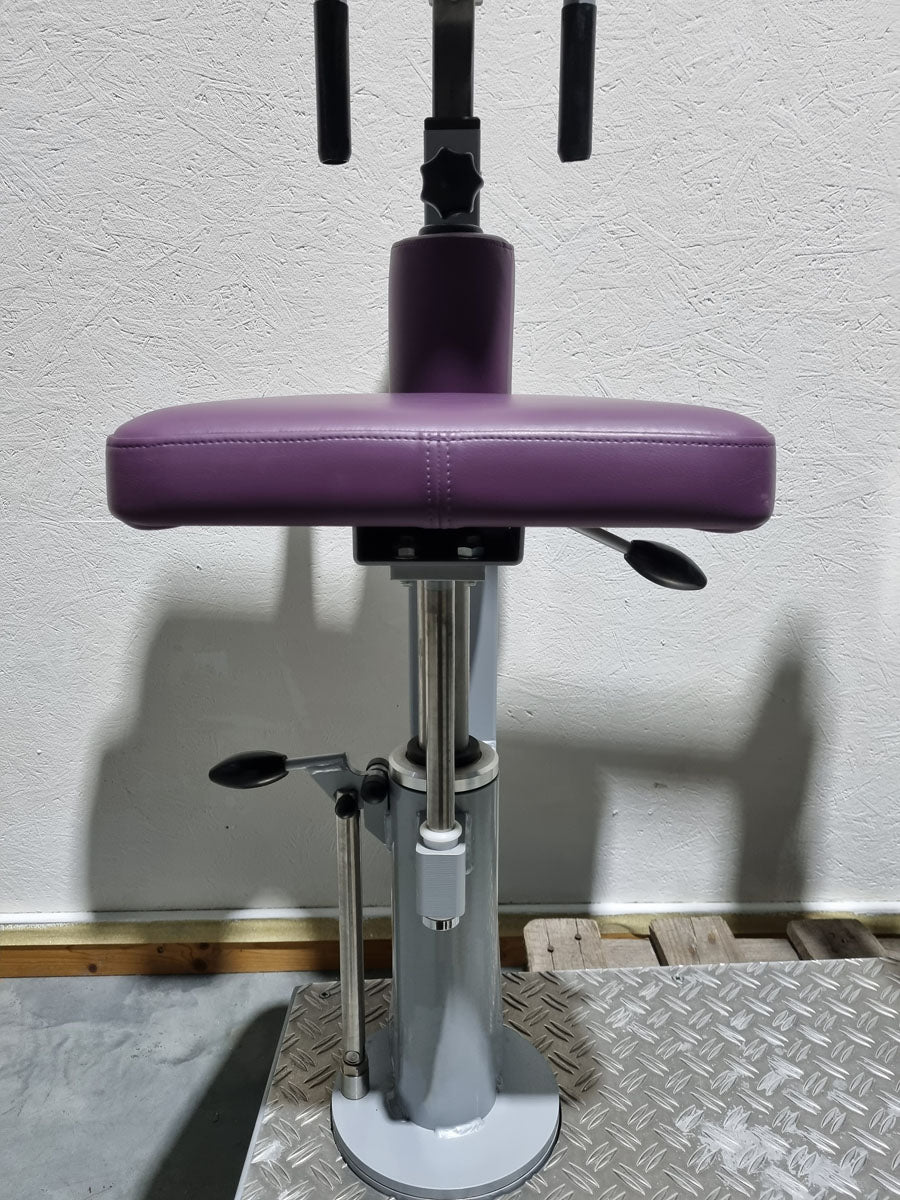 SVG HWS-Trainer, Hals und Nacken Trainingsmaschine, Halswirbelbsäule Kräftigung, Reha Line, Rahmenfarbe Silber, Polsterfarbe Lila, gebrauchter - überholter Zustand