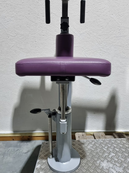 SVG HWS-Trainer, Hals und Nacken Trainingsmaschine, Halswirbelbsäule Kräftigung, Reha Line, Rahmenfarbe Silber, Polsterfarbe Lila, gebrauchter - überholter Zustand