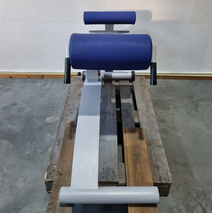 Frei Genius Basic Lateral-Lumbar Trainer, Hyperextension 15 to 45° adjustable, back extension bench, frame color silver, used - refurbished condition