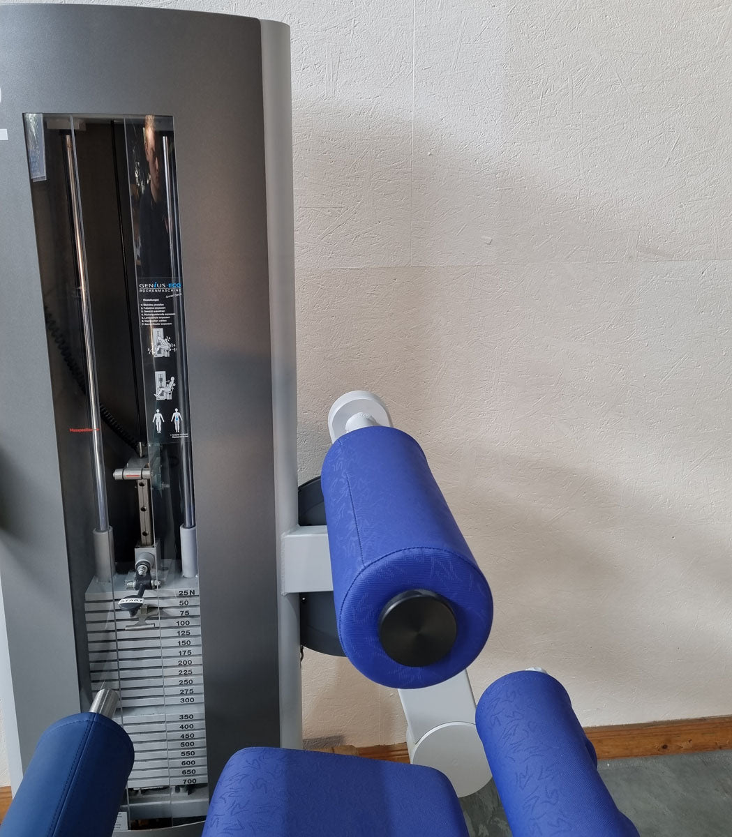 Frei Genius Eco back extension machine, hyperextension, lower back machine, frame color silver, used - refurbished condition