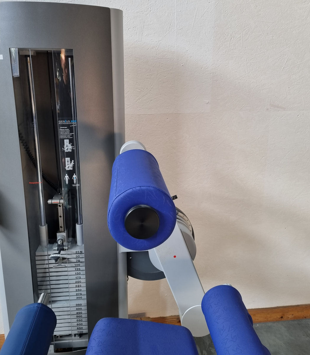 Frei Genius Eco back extension machine, hyperextension, lower back machine, frame color silver, used - refurbished condition