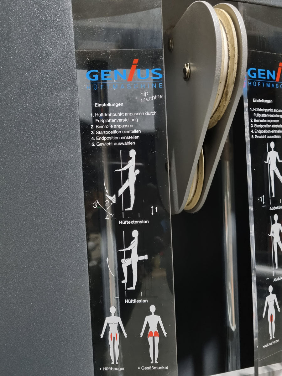 Frei Genius Hüftmaschine, Hüftpendel, Multi Hip, Kickmaschine, Total Hip auch für Ab-Adduktoren Training nutzbar, Rahmenfarbe Silber - gebraucht - überholter Zustand
