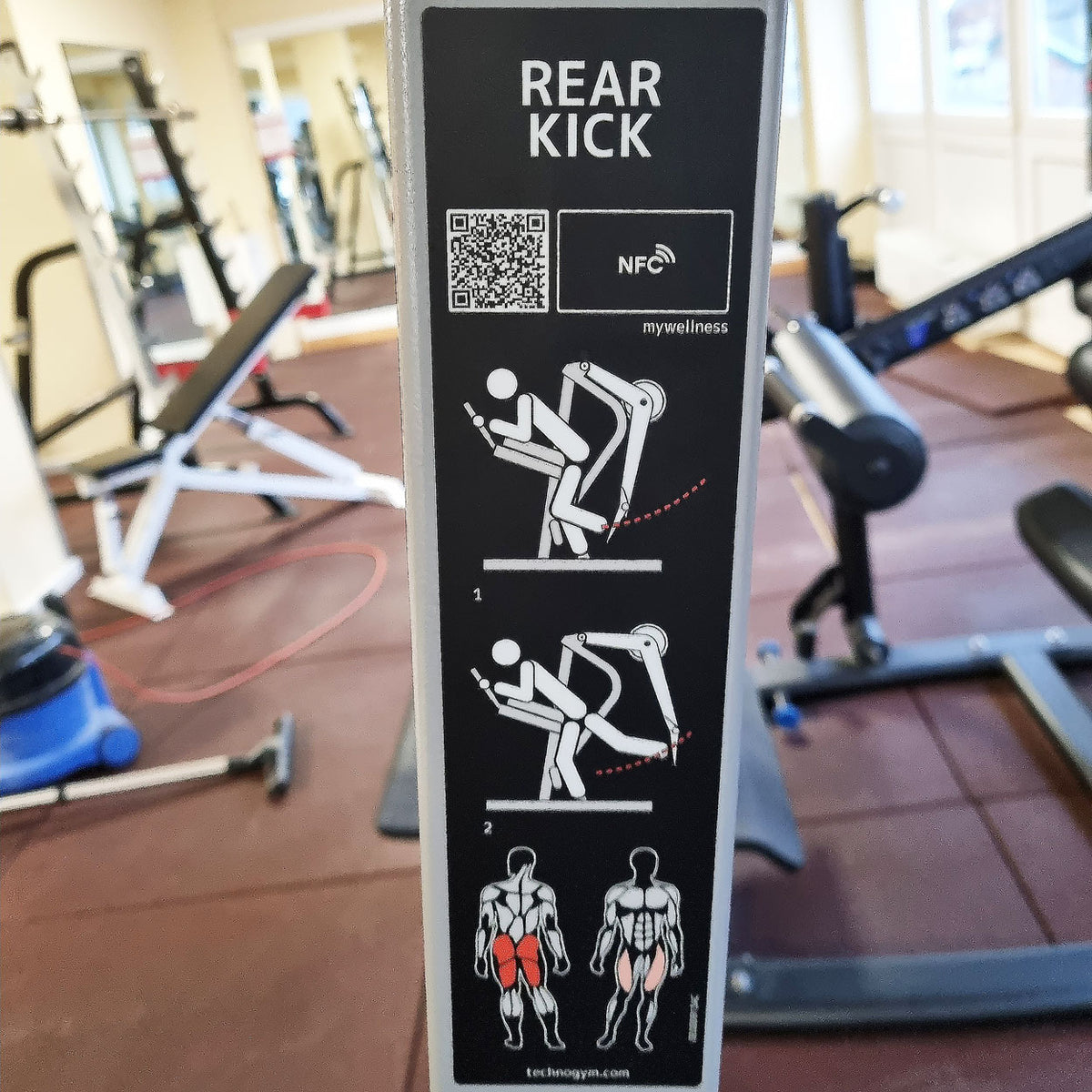 Technogym Pure Rear Kick, gluteus machine, butt machine standing, glute, plate loaded, Pure Strength Series disc holder, frame color silver, used - refurbished condition