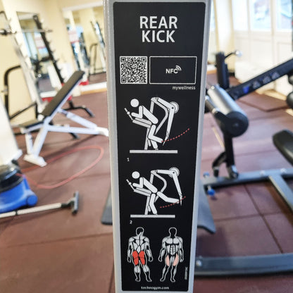 Technogym Pure Rear Kick, gluteus machine, butt machine standing, glute, plate loaded, Pure Strength Series disc holder, frame color silver, used - refurbished condition