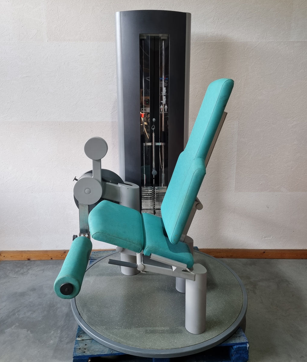 Frei Genius Beinstrecker verstellbar, Kniestrecker, Leg Extension, Rahmenfarbe Silber, gebraucht - überholter Zustand