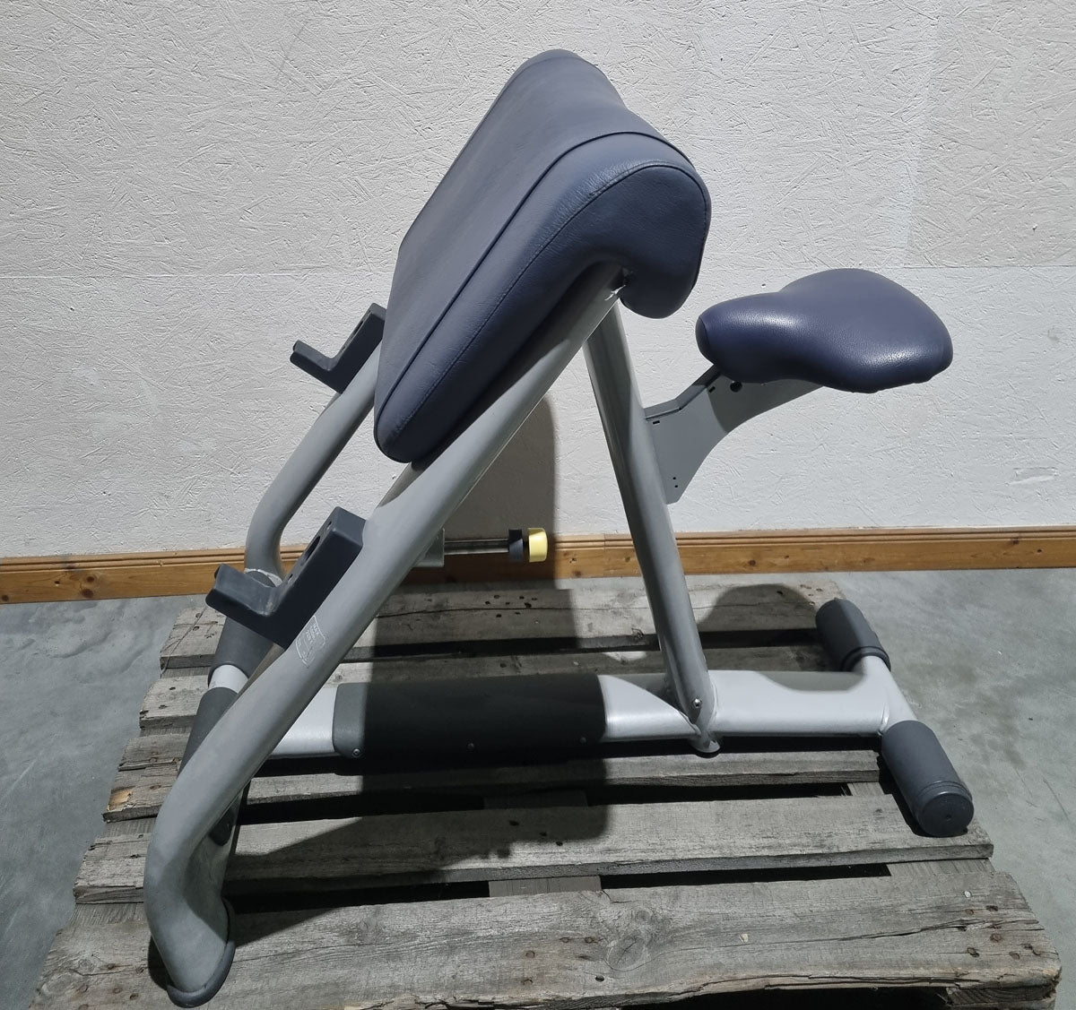 TechnoGym Scottcurl Bench, Scott bench, biceps training bench, color silver, upholstery blue, used