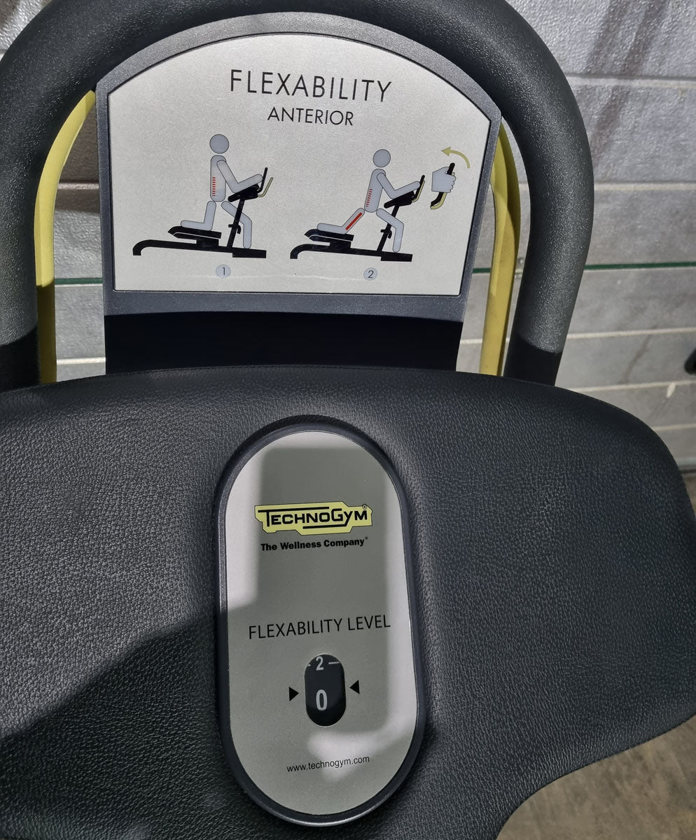 Technogym 2er Set Flexability Posterior und Flexability Anterior - Dehngeräte für Beine und Waden, gegen Rückenschmerzen, Dehnungsapparat, Rahmenfarbe Silber, gebraucht - guter Zustand