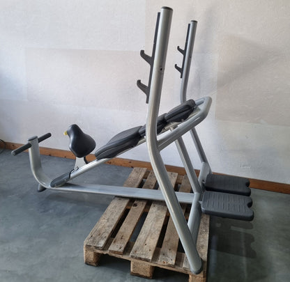 Technogym Schrägdrückerbank, Olympic Inclined Bench, Hantelbank Schrägbankdrücken, Rahmenfarbe Silber, Selection Line, gebraucht - überholter Zustand
