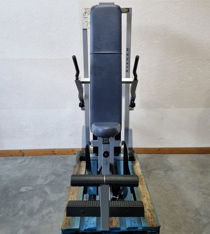 Technogym seated dip, triceps machine, support press, arm extension, frame color silver, Silverline, used - refurbished condition