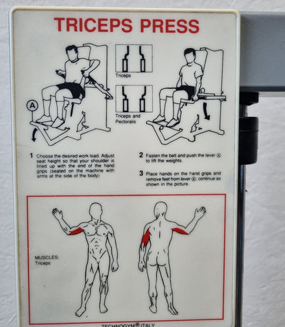 Technogym seated dip, triceps machine, support press, arm extension, frame color silver, Silverline, used - refurbished condition
