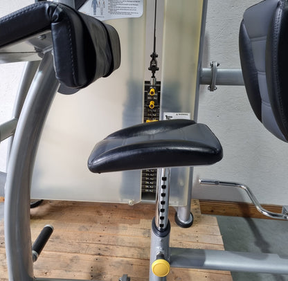 SportsArt Trizepsmaschine Horizontal S925 A925 N925 Trizepsstrecker, Triceps Extension, Rahmenfarbe Silber, gebraucht - überholter Zustand