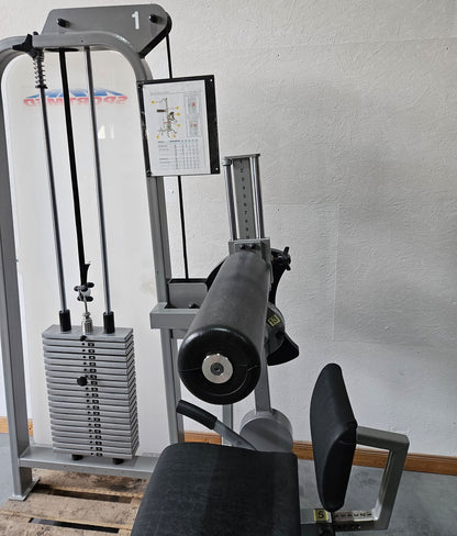 RMA Bauch / Rücken Kombigerät 2 in 1, Abs and lower Back, Silber, gebraucht - überholter Zustand